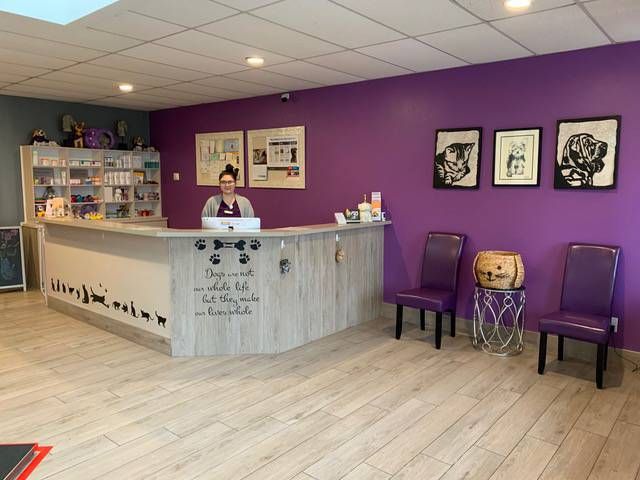 purple paws pet clinic