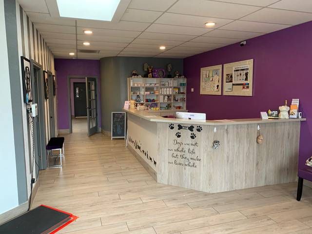 purple paws pet clinic