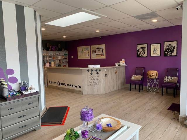 purple paws pet clinic