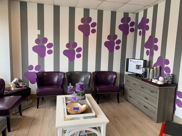 purple paws pet clinic