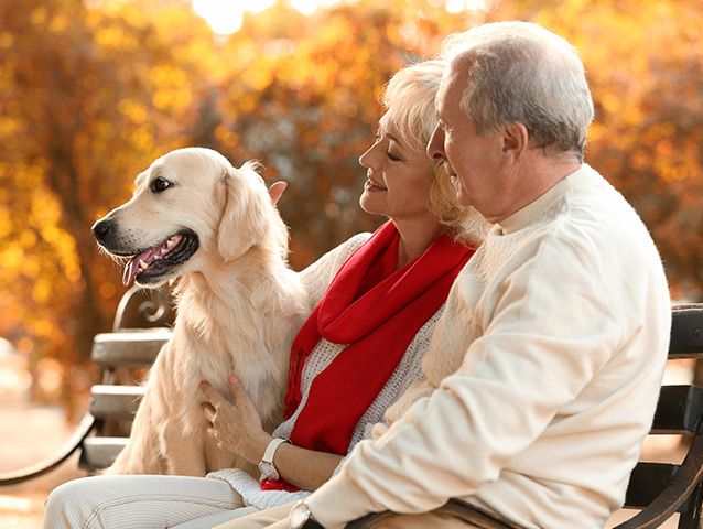 dog with couple