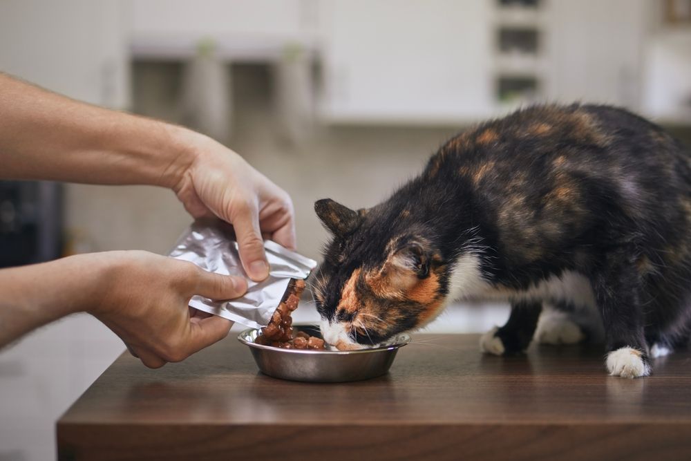 animal nutrition