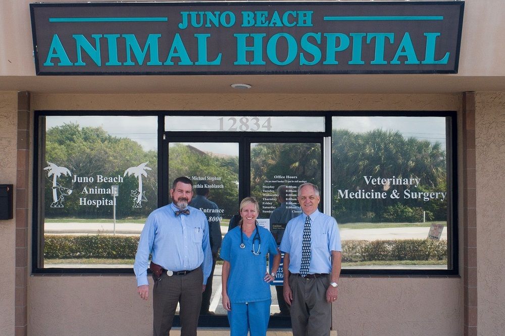 Contact Our Vets In Juno Beach Fl Juno Beach Animal Hospital