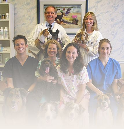 Meet the Team Juno Beach vet