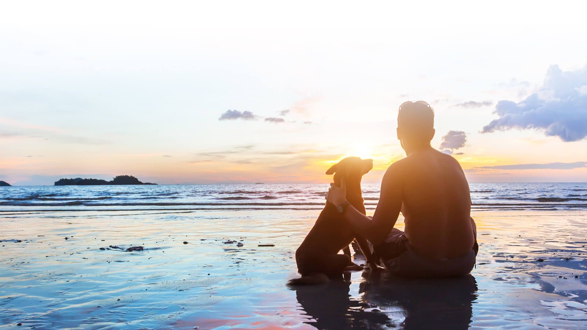 Veterinarian Corpus Christi TX | Animal Hospital of Padre Island Veterinarian Corpus Christi TX | Animal Hospital of Padre Island
