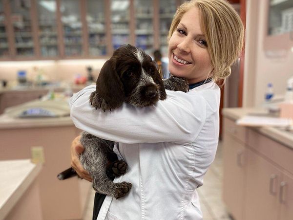 pet wellness exams