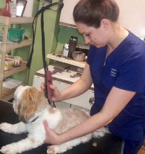Pet Grooming in Memphis TN by Memphis Animal Clinic
