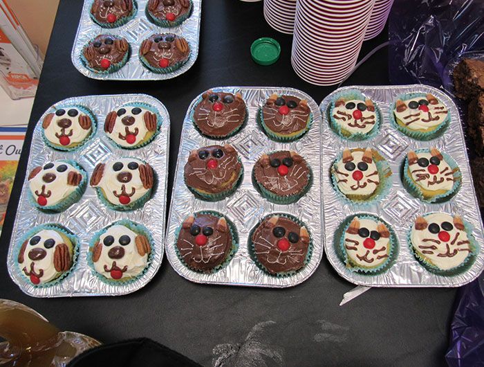 cupcakes