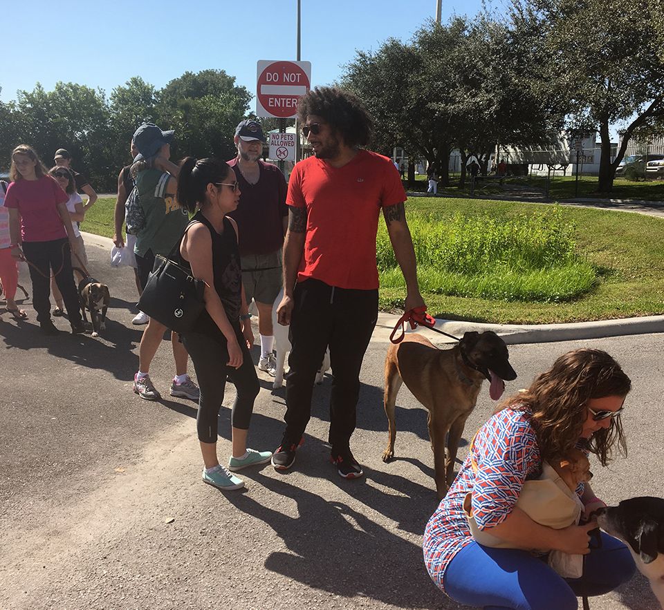 line of dog owners