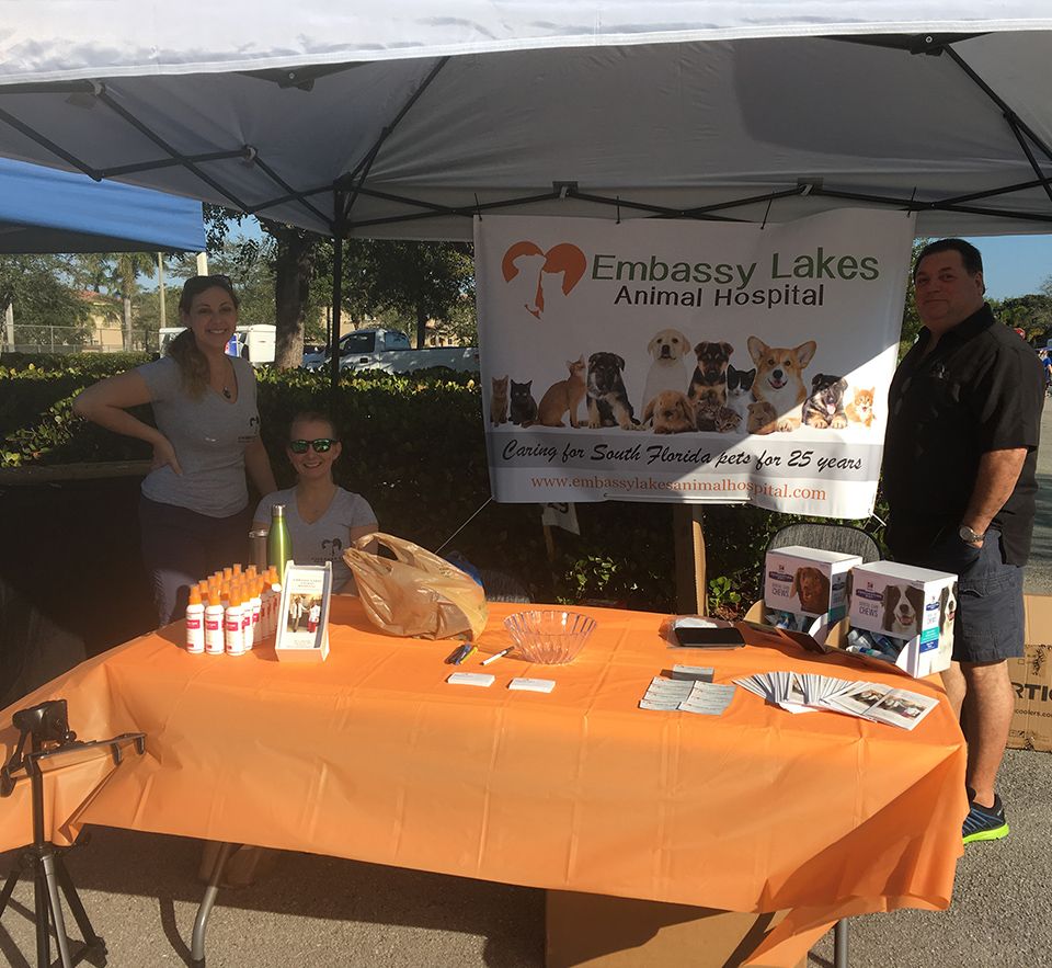 embassy lakes animal hospital team