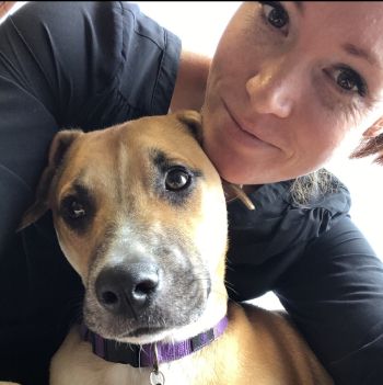 Holistic Vets San Diego Animal Chiropractors Animal Healing Center