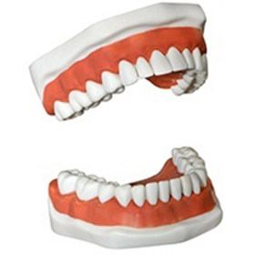dentures
