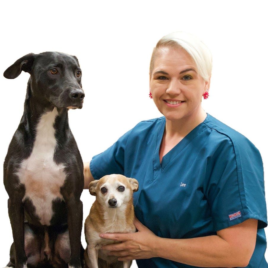 Meet Our Veterinarians in Mansfield, TX 287 Animal Hospital