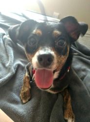 CHICO