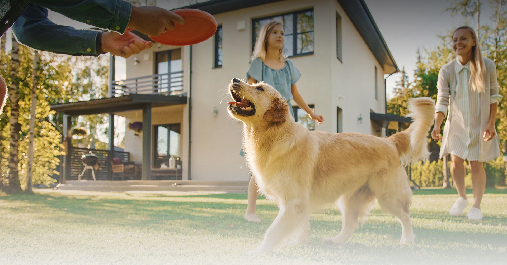 Veterinarian in Sugar Land TX Sugar Land Veterinary Clinic