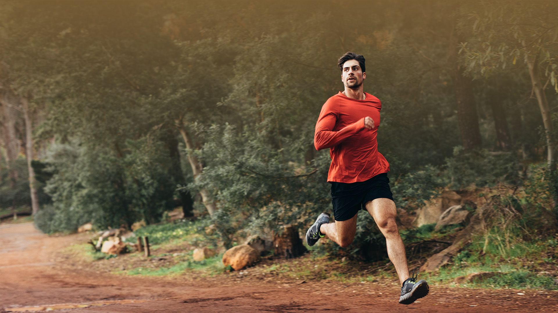 Chiropractor in San Jose, CA Back Pain San Jose