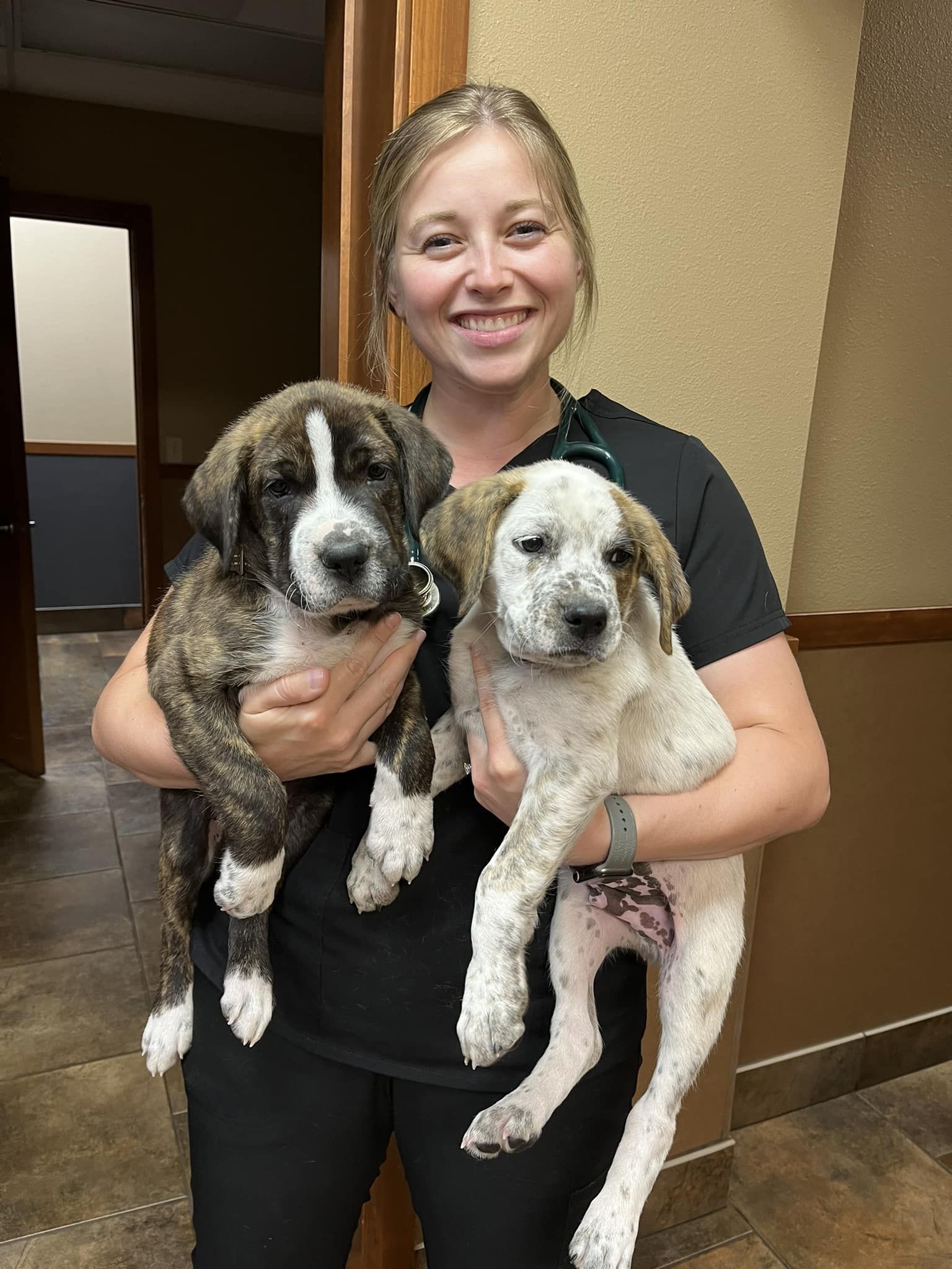 Bailey Veterinary Clinic, Veterinarian in Roseburg OR