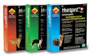 Heartgard Plus