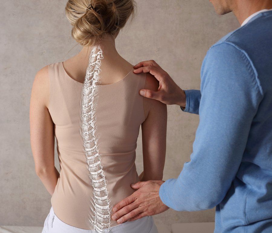 spine