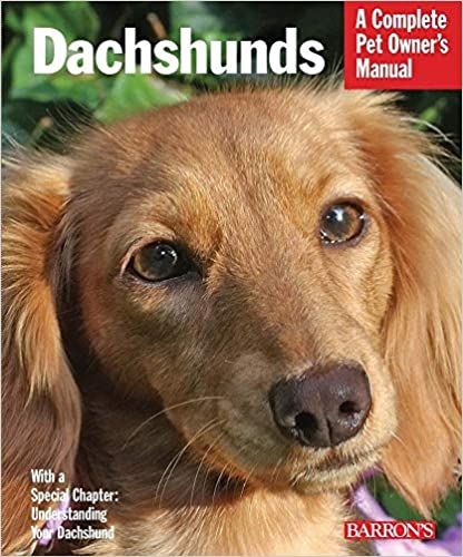 Dachshunds