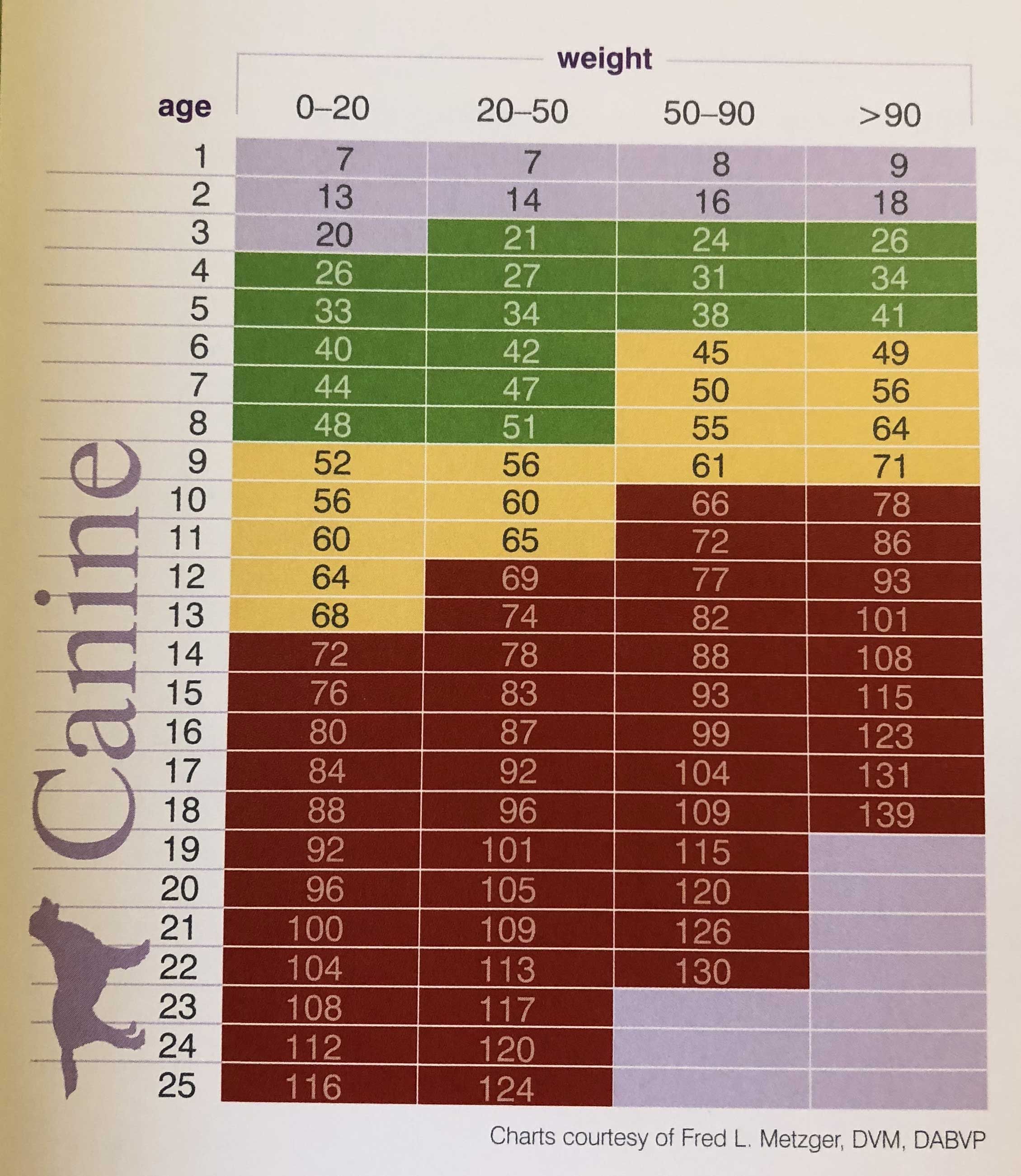 Pet Dental Hygine