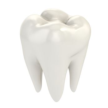 White molar tooth