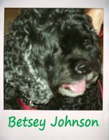 Betsey Johnson Birch