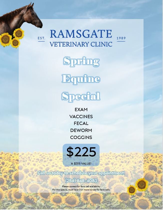 Veterinarian in Waco TX Ramsgate Veterinary Clinic