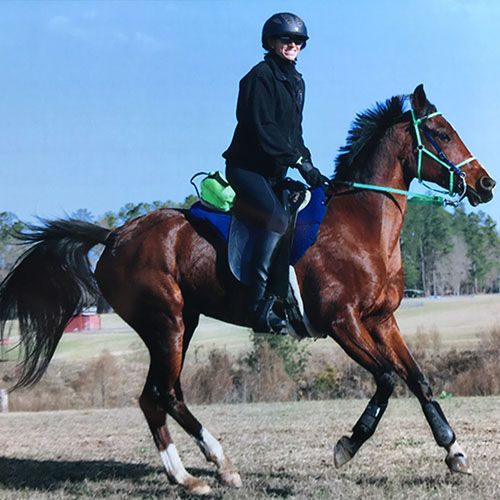 Meet Our Veterinary Staff in Waco TX Ramsgate Veterinary Clinic