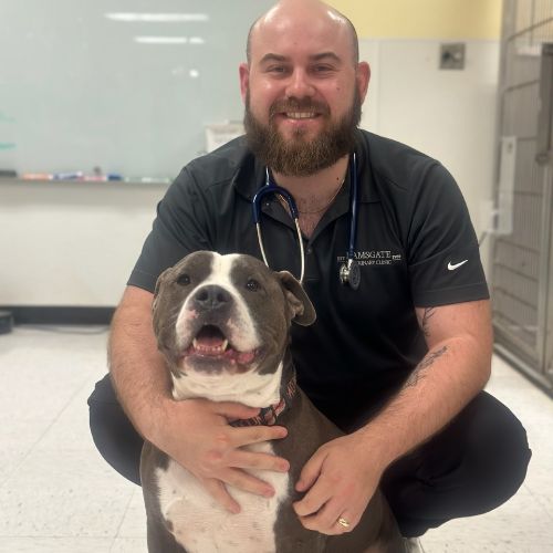 Veterinarian in Waco TX Ramsgate Veterinary Clinic