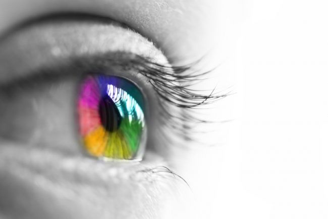 Color Perception: Are You Seeing What I’m Seeing?