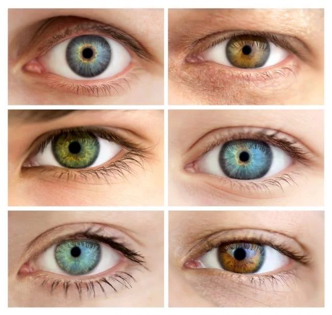 Understanding Eye Color