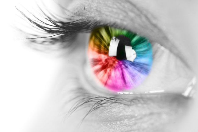 What Is Color Blindness?