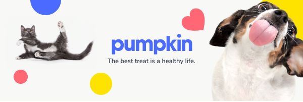 Pumpkin Care Pet Insurance