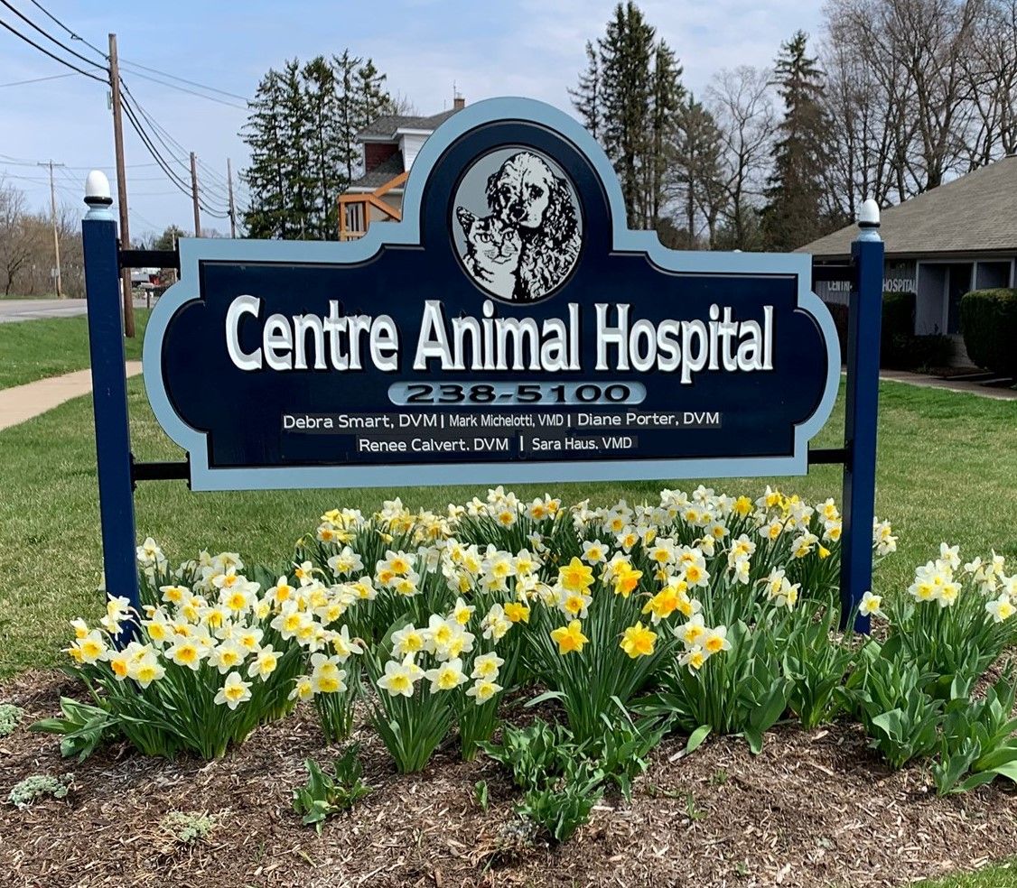 Veterinary Hospital in State College PA | Centre Animal Hospital