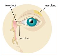 patient with dry eye