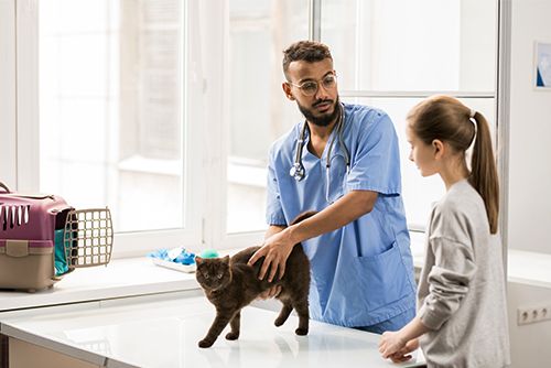 Veterinarian