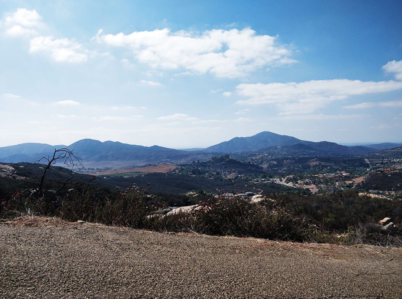 Jamul
