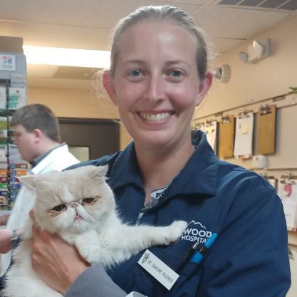 Dr. Caroline Rossner Ridgewood Animal Hospital - Your Trusted Virginia Veterinary Hospital Dr. Caroline Rossner Ridgewood Animal Hospital - Your Trusted Virginia Veterinary Hospital