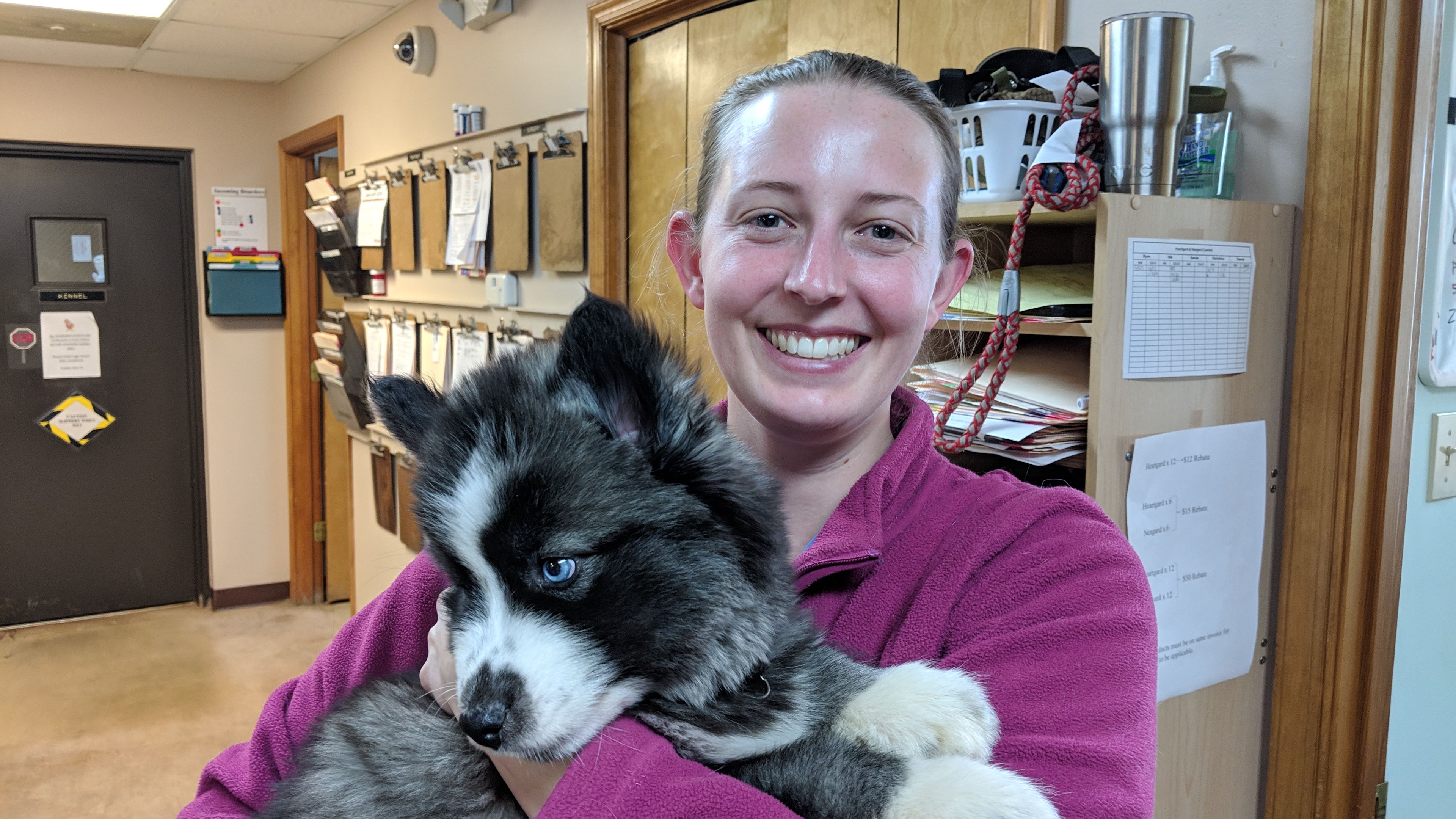Dr. Caroline Rossner Ridgewood Animal Hospital - Your Trusted Virginia Veterinary Hospital Dr. Caroline Rossner Ridgewood Animal Hospital - Your Trusted Virginia Veterinary Hospital