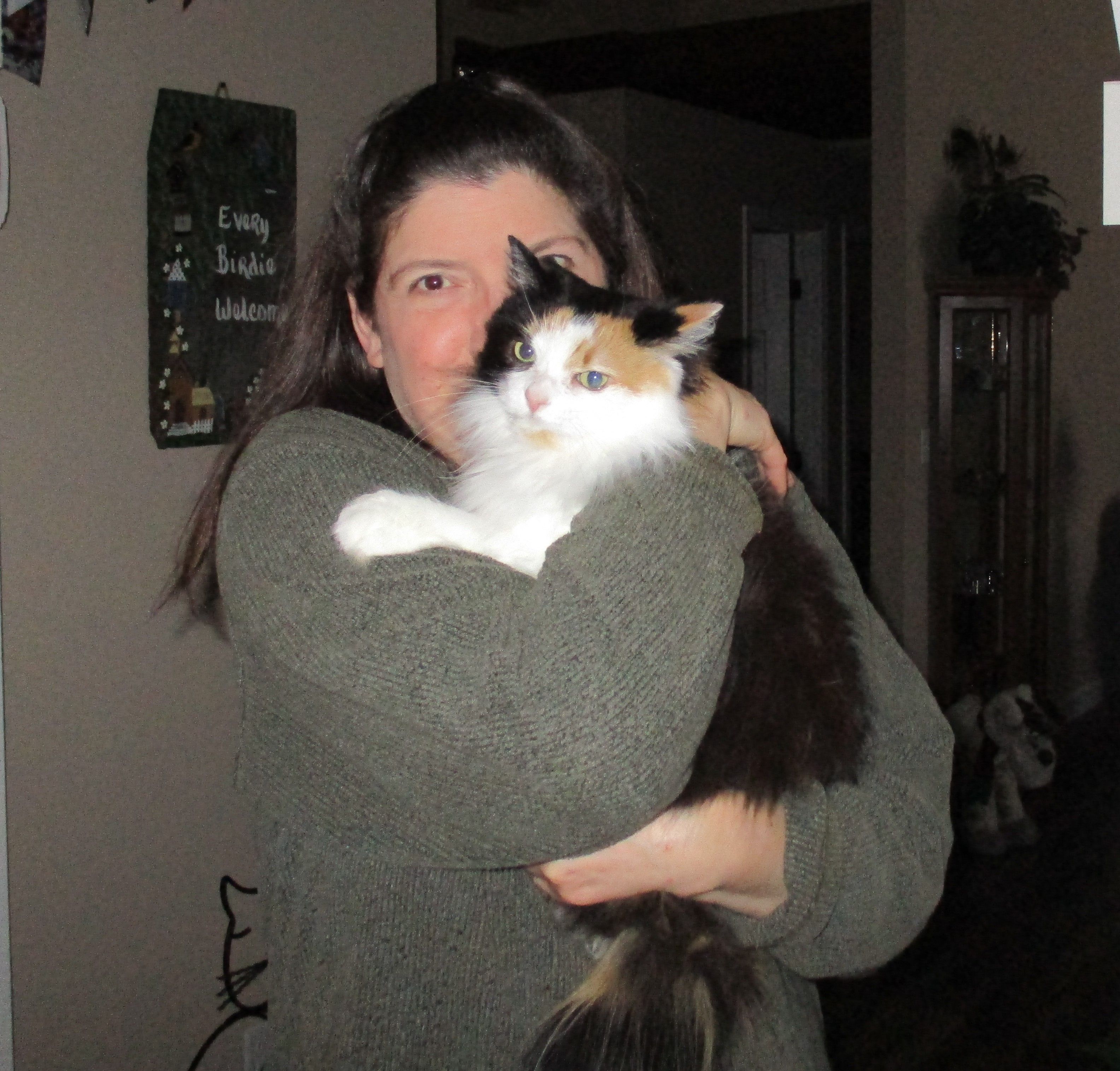 Colleen Ridgewood Animal Hospital - Your Trusted Virginia Veterinary  Hospital