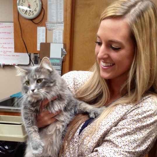 Ryan Kling Ridgewood Animal Hospital - Your Trusted Virginia Veterinary Hospital Ryan Kling Ridgewood Animal Hospital - Your Trusted Virginia Veterinary Hospital
