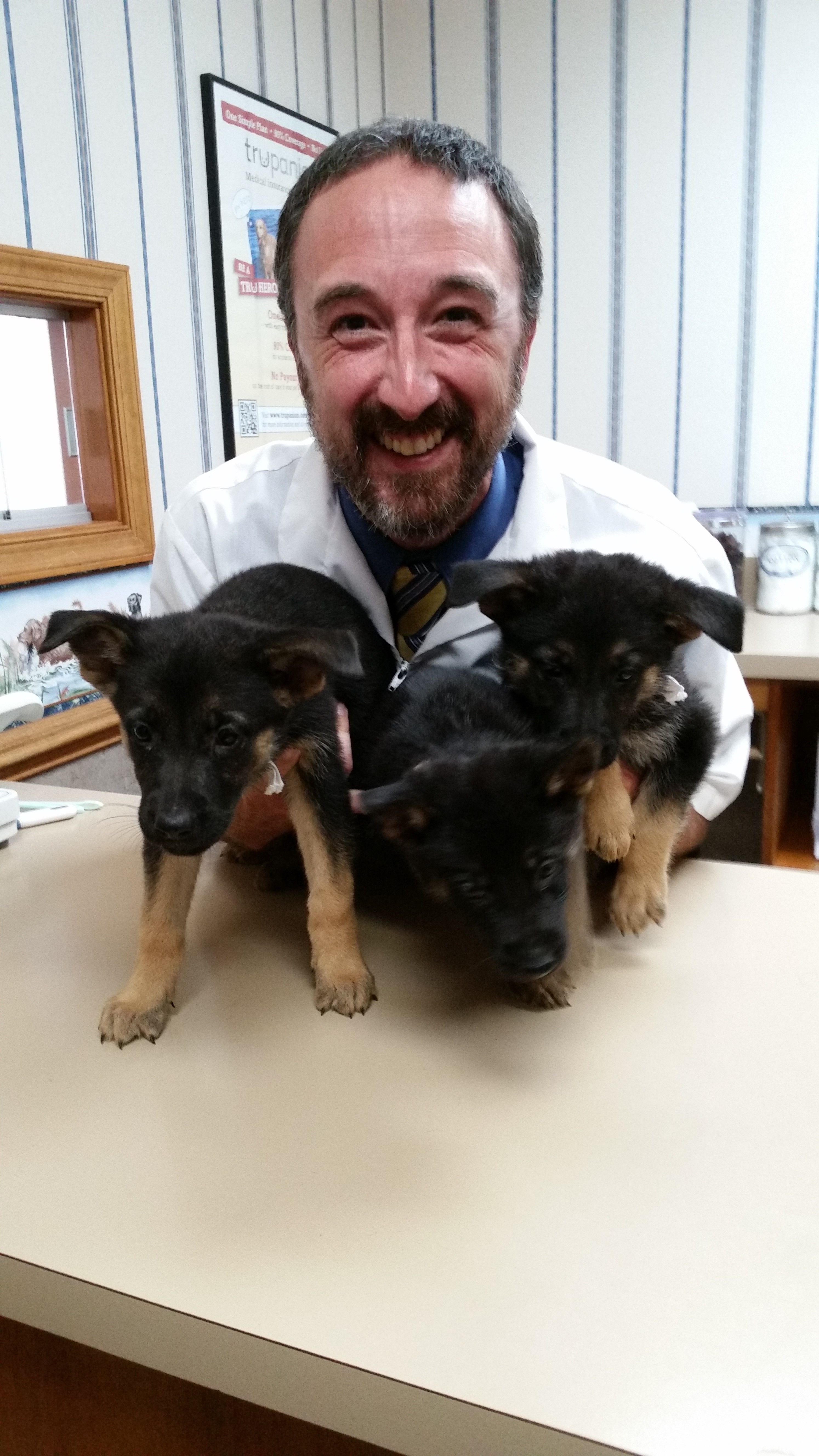 Dr. Jerry Lane Ridgewood Animal Hospital - Your Trusted Virginia Veterinary Hospital Dr. Jerry Lane Ridgewood Animal Hospital - Your Trusted Virginia Veterinary Hospital