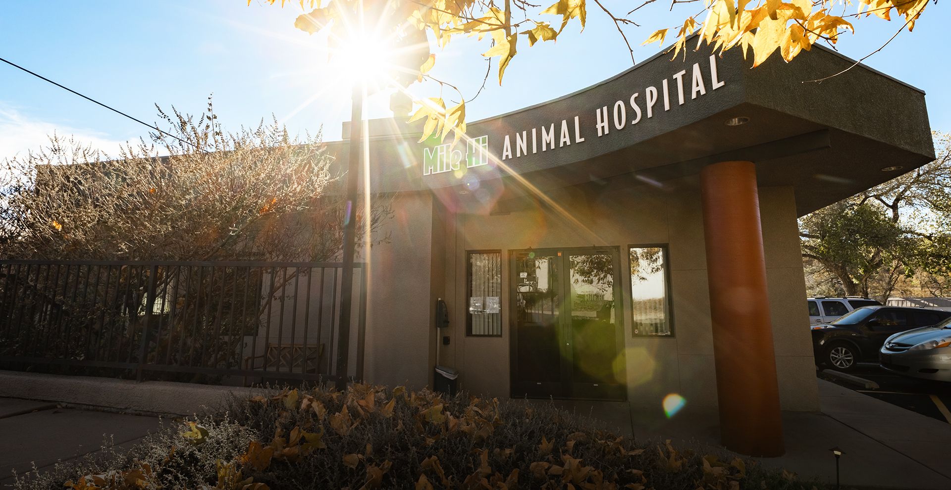 Veterinarians in Prescott, AZ | Mile Hi Animal Hospital
