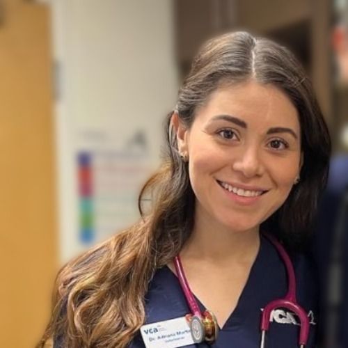 Dr. Adriana Martinez