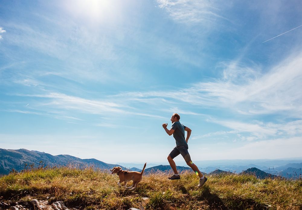 5 Pet-friendly Hiking Trails in Paso Robles to Enjoy with Your Furry Friend