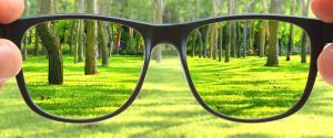 The Great Myth About Eyeglass Lenses