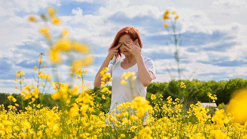 Spring Allergies Affecting Your Vision? Tips from Your Eye Doctor in Wellington