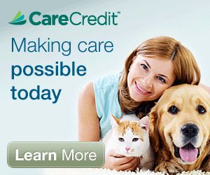 CareCredit