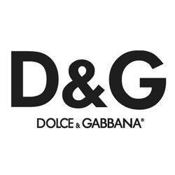 d & g logo